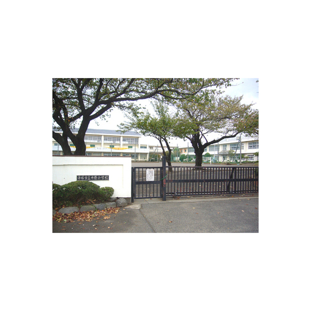 小学校　中原小学校（小学校）まで334m