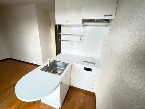 キッチン　※別号室の写真です。