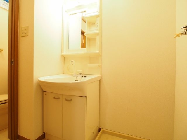 洗面設備　シャワー付きの独立洗面台です。