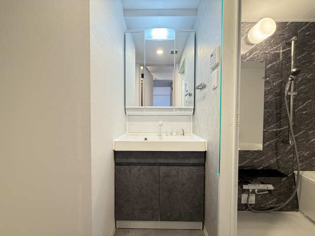 洗面設備　同型タイプです。