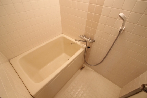 バス・シャワールーム　※別号室の写真です