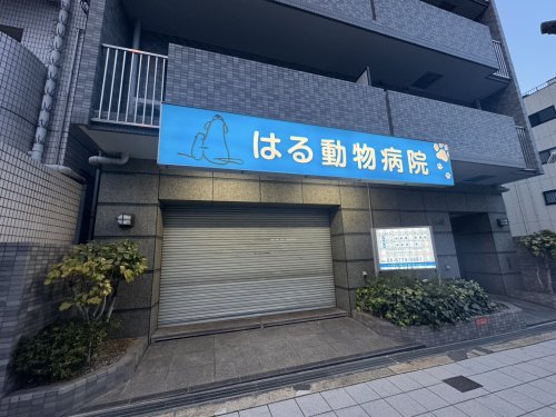 病院　はる動物病院（病院）まで1398m