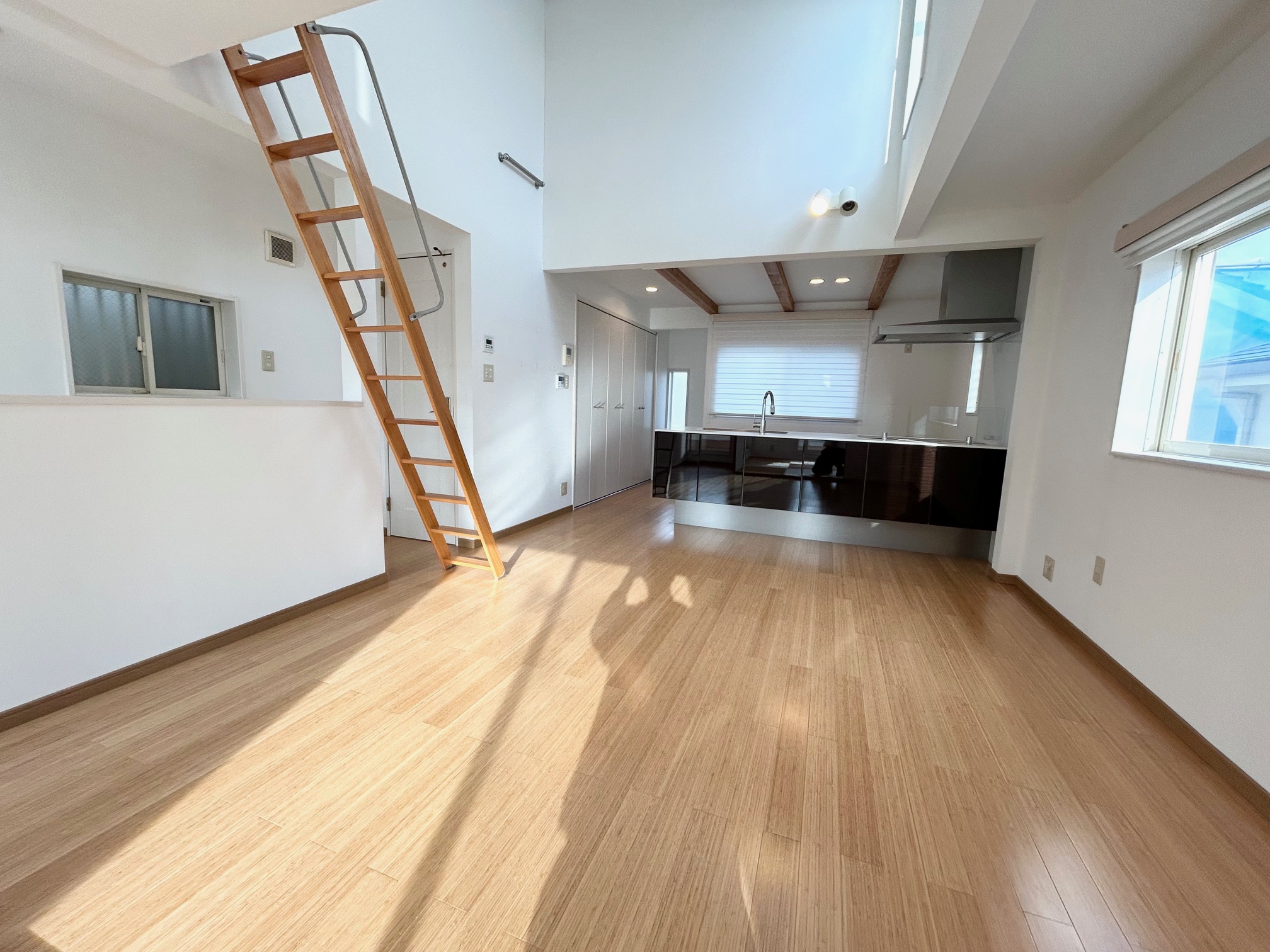 居室・リビング　ＬＤＫ　１５帖