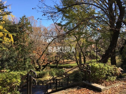 公園　三ツ沢公園（公園）まで427m