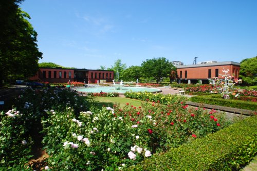 その他　久留米市美術館（その他）まで806m