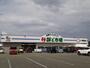 スーパー　鮮ど市場東部店（スーパー）まで500m
