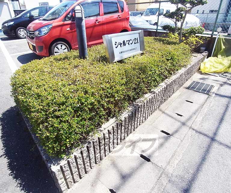 庭