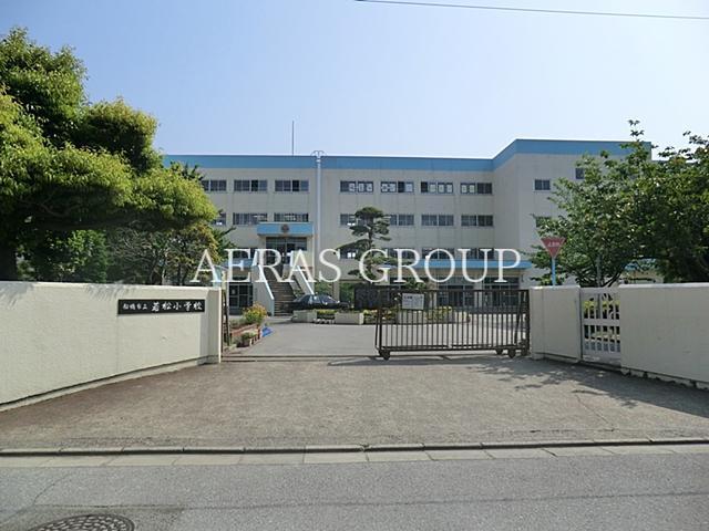 中学校　船橋市立若松中学校（中学校）まで407m