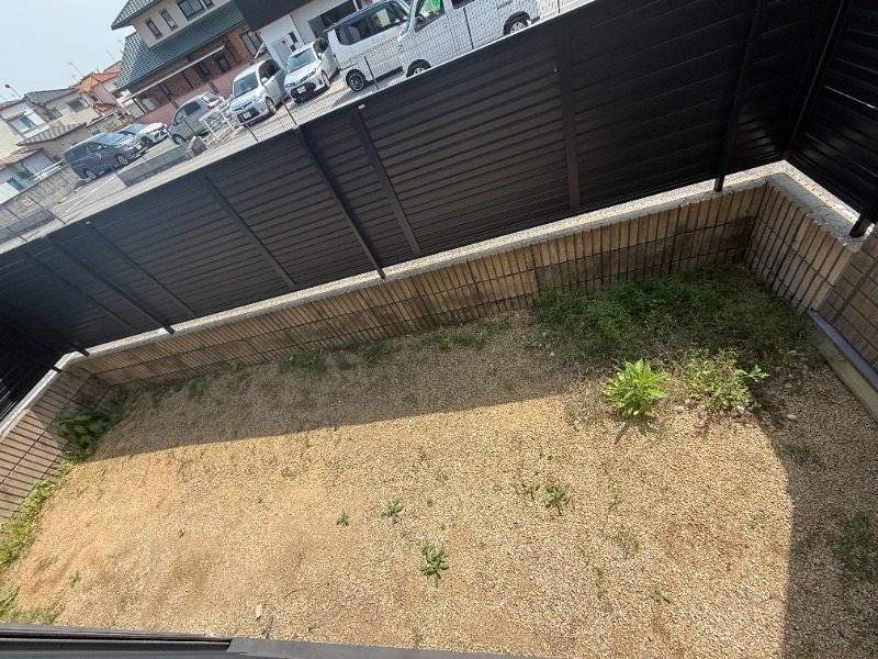 庭