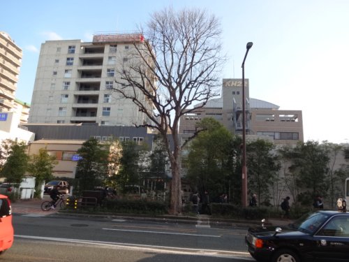 飲食店　ロンハーマン福岡店RHcafe（飲食店）まで1044m