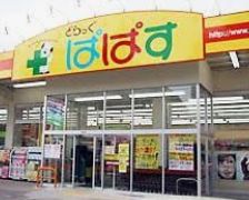 ドラックストア　どらっぐぱぱす下丸子店（ドラッグストア）まで371m