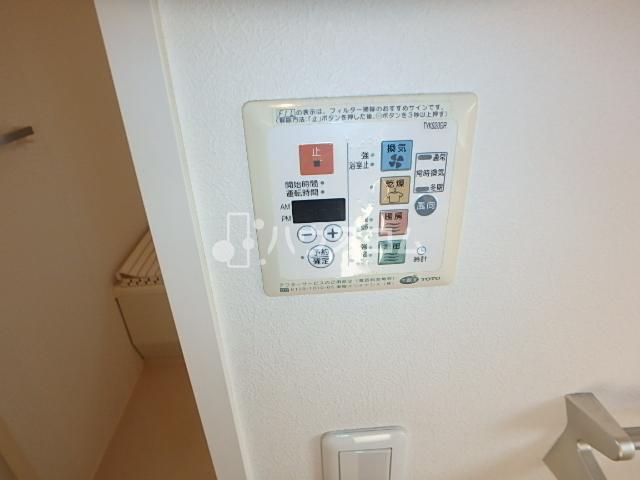 ブルーオニオンのその他写真