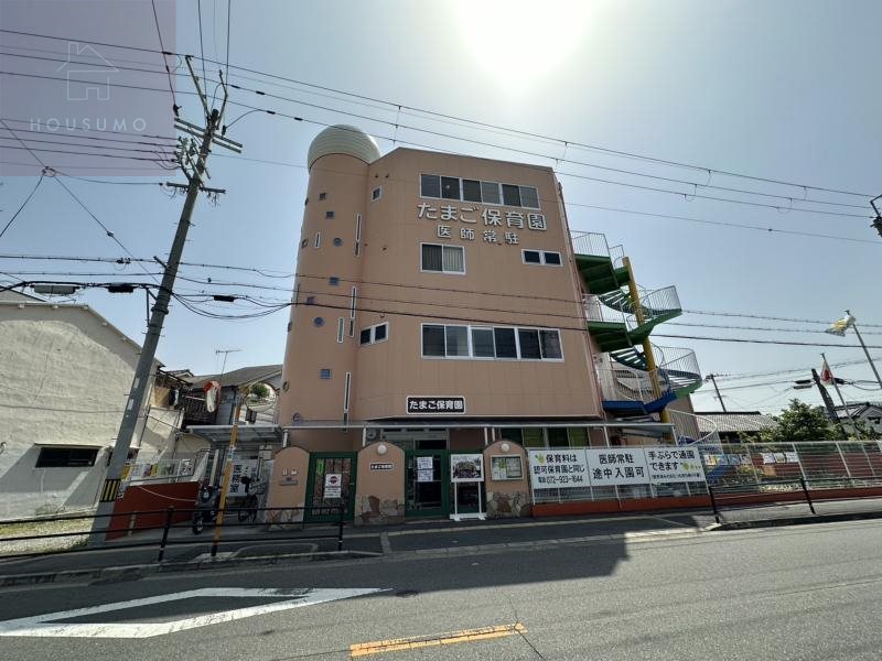 幼稚園・保育園　たまご保育園（幼稚園・保育園）まで636m