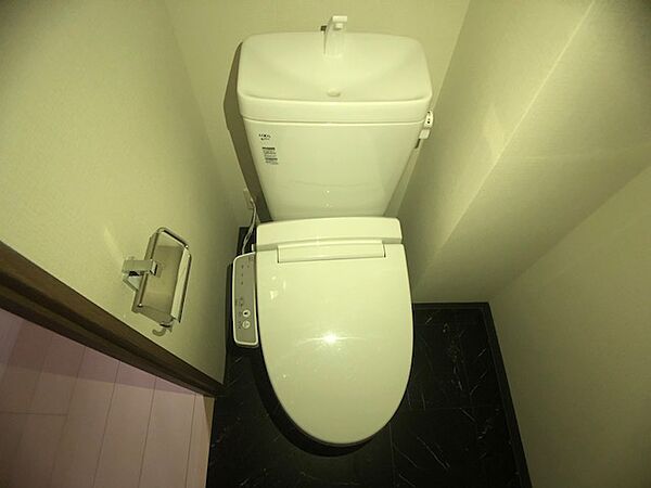 ドムス・スタイル銀座東のトイレ写真
