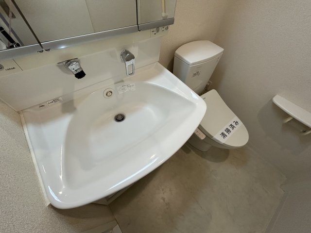 洗面設備　別室参考写真です。
