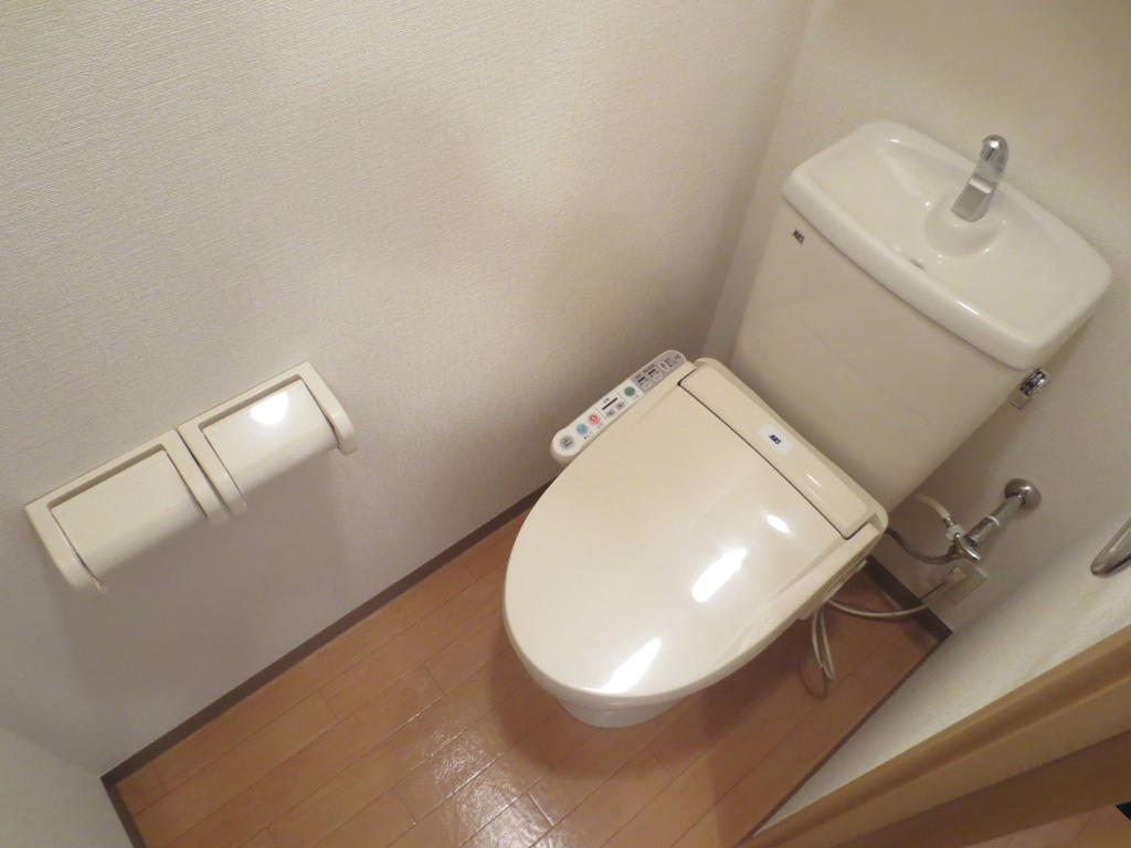ＪＲ常磐線 佐和駅 徒歩21分 2階建 築19年のトイレ写真