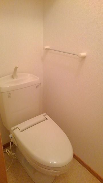ブラウンヴィラBのトイレ写真