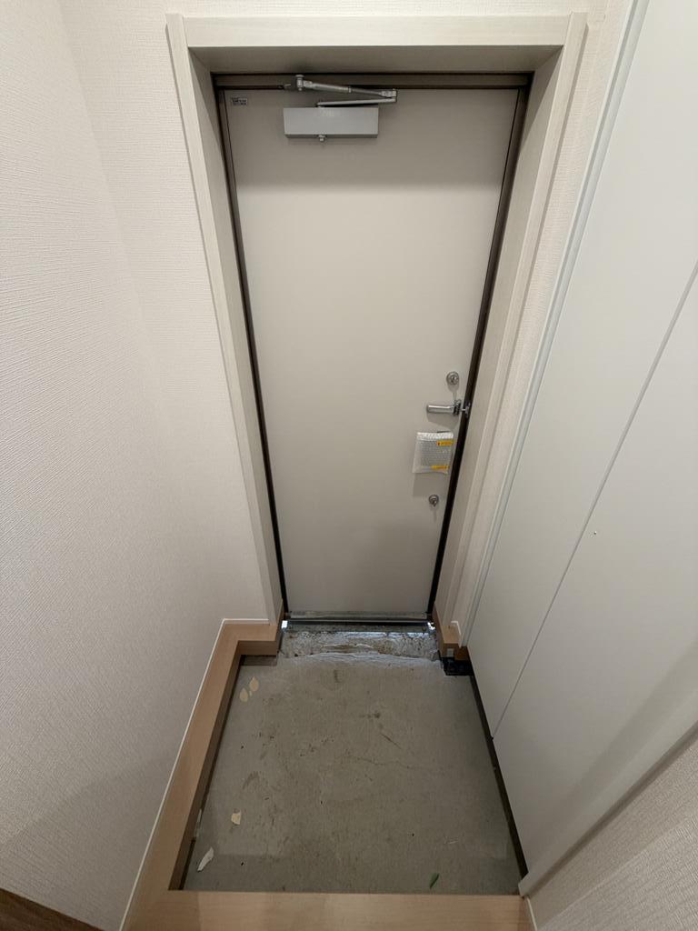 近鉄大阪線 高安駅 徒歩3分 2階建 新築の玄関写真