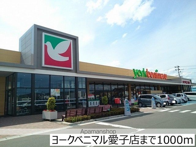 スーパー　ヨークベニマル仙台愛子店（スーパー）まで1000m