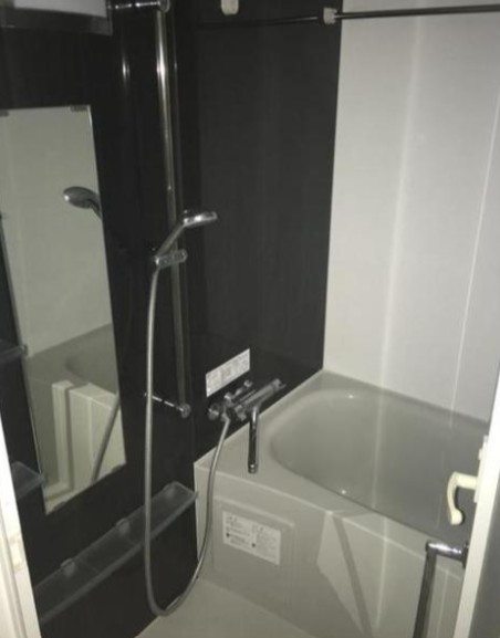 B CITY APARTMENT SHINAGAWA WESTの風呂写真