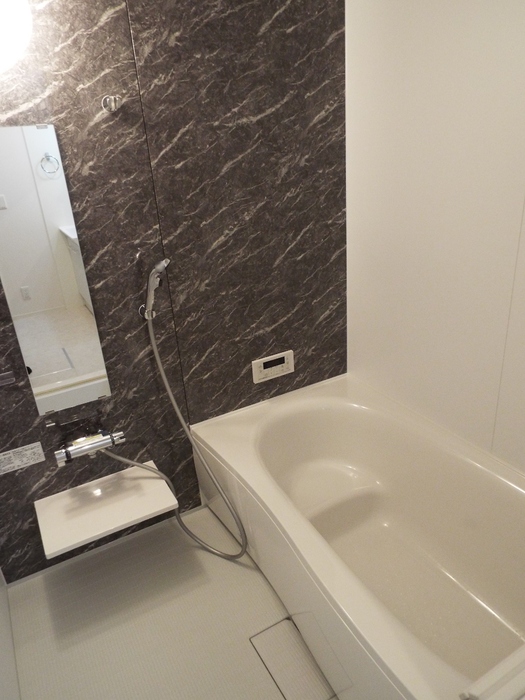 D-RESIDENCE Eの風呂写真