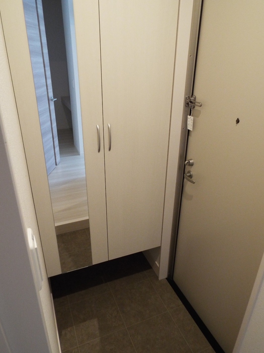 D-RESIDENCE Eの玄関写真