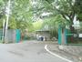 小学校　宇多野小学校（小学校）まで900m