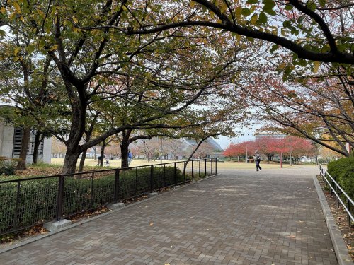 【神戸市兵庫区小河通のアパートの公園】