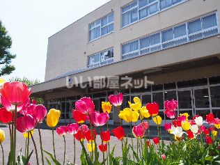 小学校　新陽小学校（小学校）まで767m