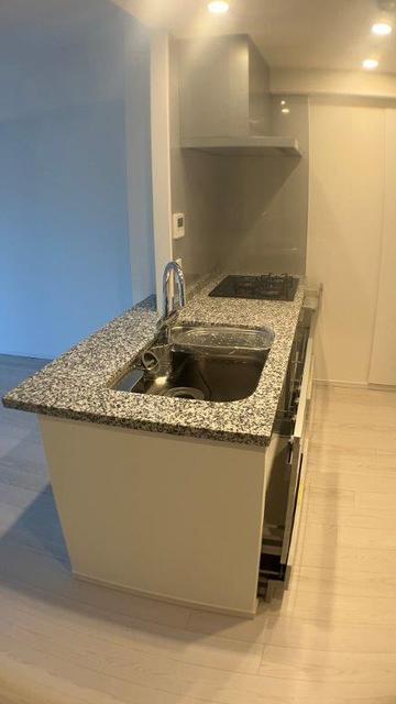 キッチン　食器洗浄乾燥機・ディスポーザー・浄水器付