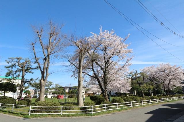 公園　山王沼田街区公園（公園）まで10m