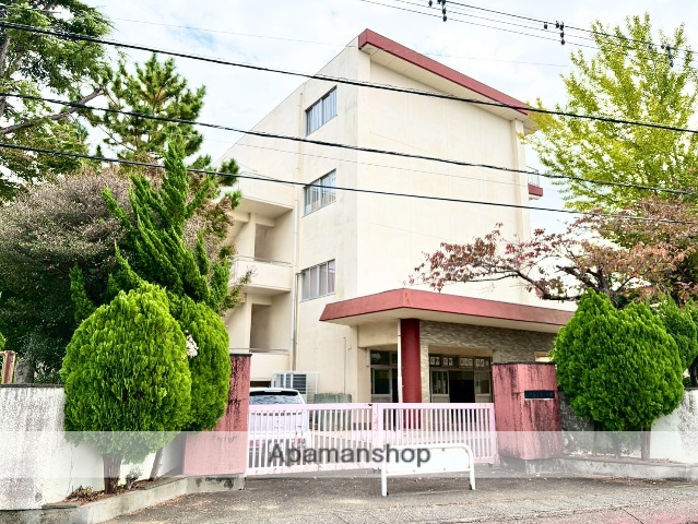 小学校　三島南小（小学校）まで442m