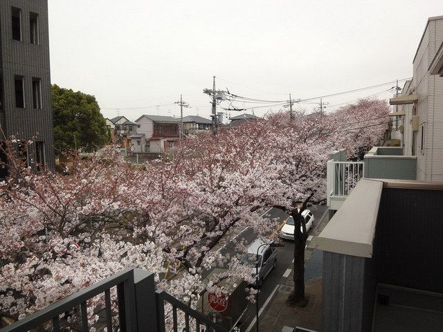 エントランス　サクラ通りに面したエントランス