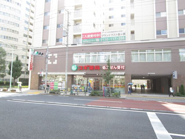 ドラックストア　スギ薬局　生活雑貨揃います。（ドラッグストア）まで290m