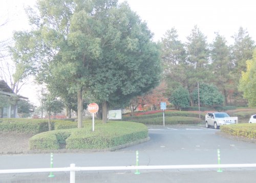 公園　美しが丘公園（公園）まで1020m