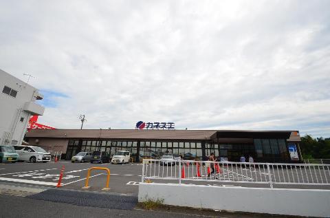 その他　カネスエ薬師店（その他）まで326m