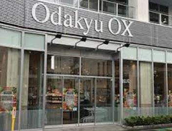 スーパー　OdakyuOX向ヶ丘遊園店（スーパー）まで237m