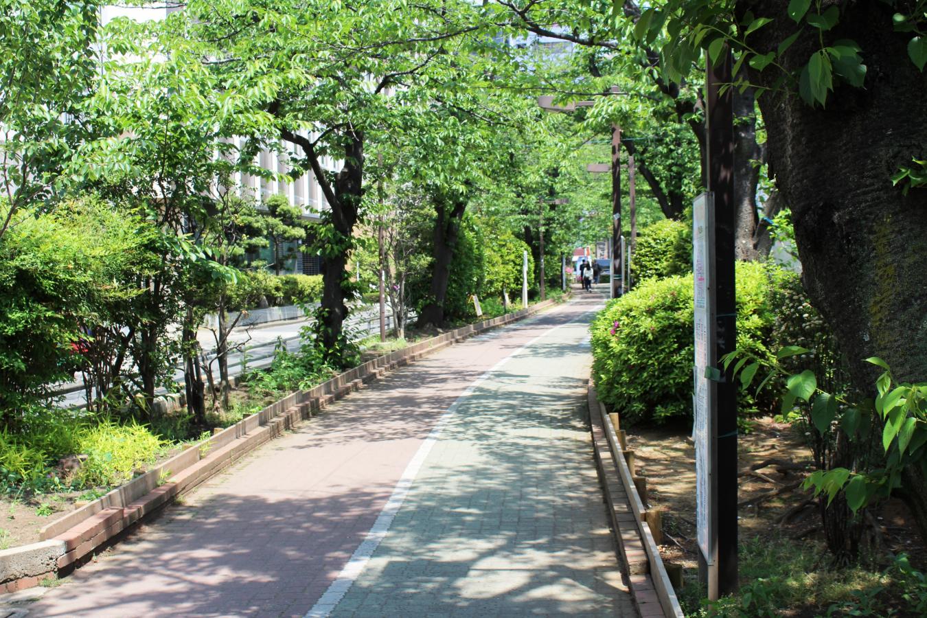 公園　亀戸緑道公園（公園）まで393m