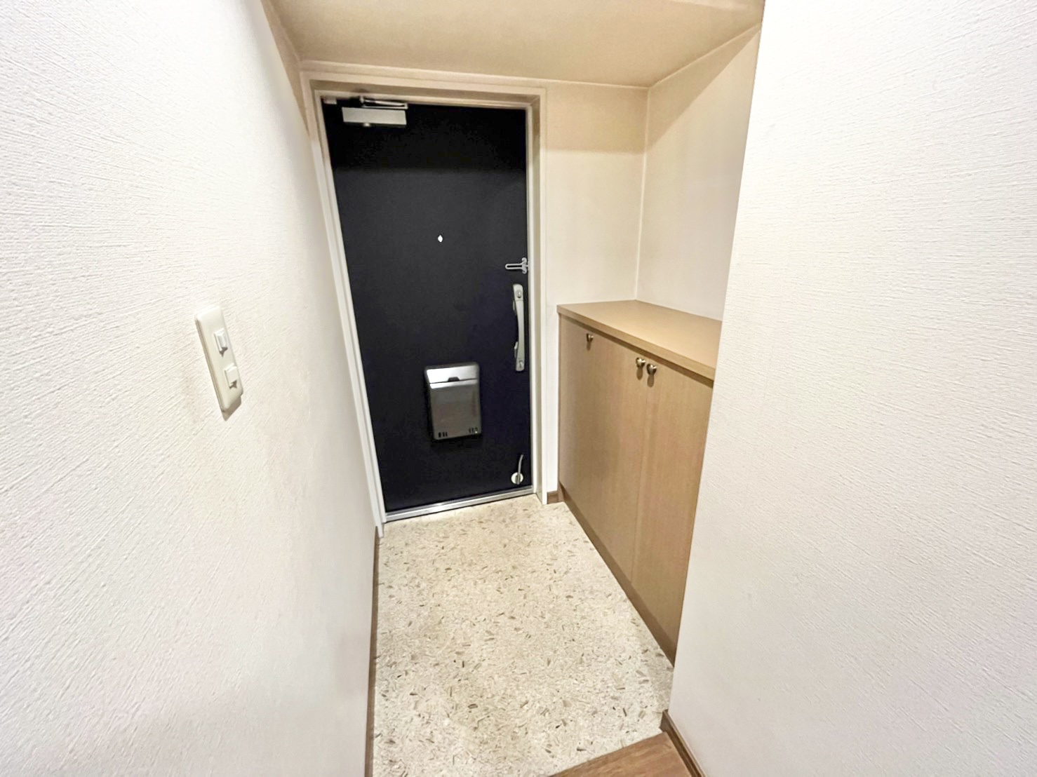 ディオフェルティ淀リヴィエールの玄関写真
