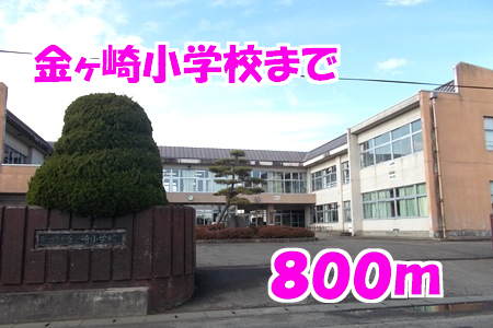 小学校　金ケ崎町立金ケ崎小学校（小学校）まで800m
