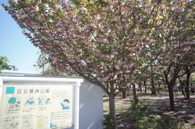 公園　豊洲公園（公園）まで297m