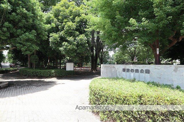 公園　諏訪の森公園（公園）まで800m