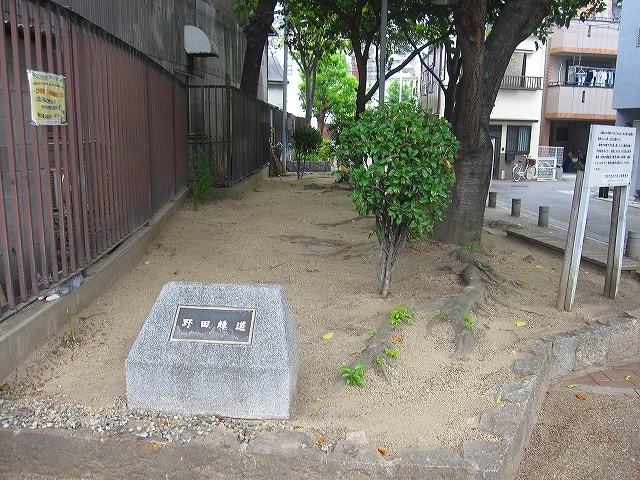 公園　野田緑地（公園）まで270m