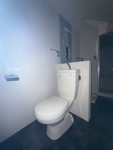 トイレ　※別号室参考写真