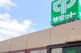 スーパー　サミットストア 環八南田中店（スーパー）まで320m