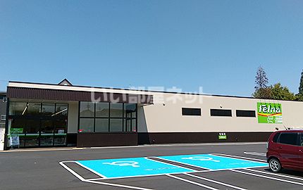 スーパー　Felna(フェルナ) 段の上店（スーパー）まで390m