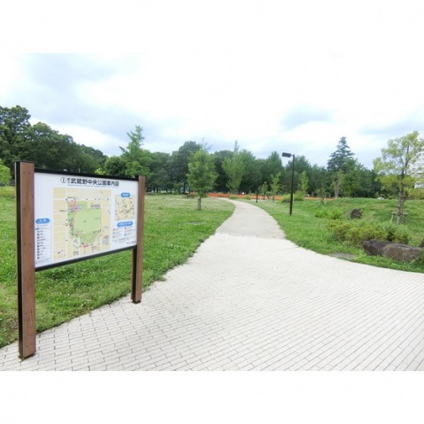 公園　武蔵野中央公園（公園）まで1000m