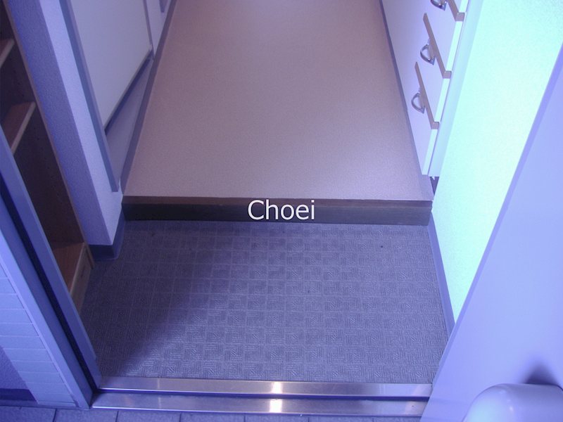 玄関　※別部屋の写真です