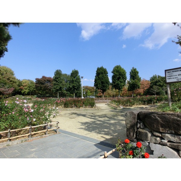 公園　大井戸公園（公園）まで656m