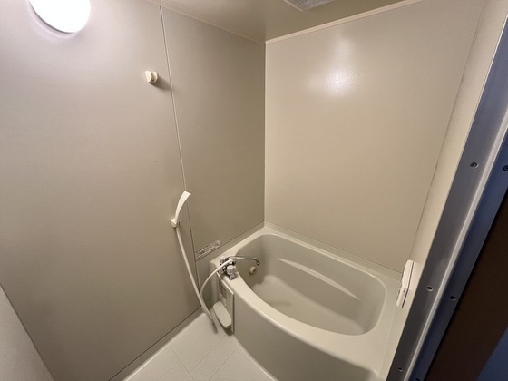 バス・シャワールーム　※別部屋の写真です